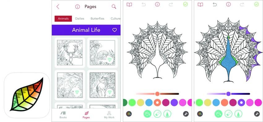 Pigment coloring app